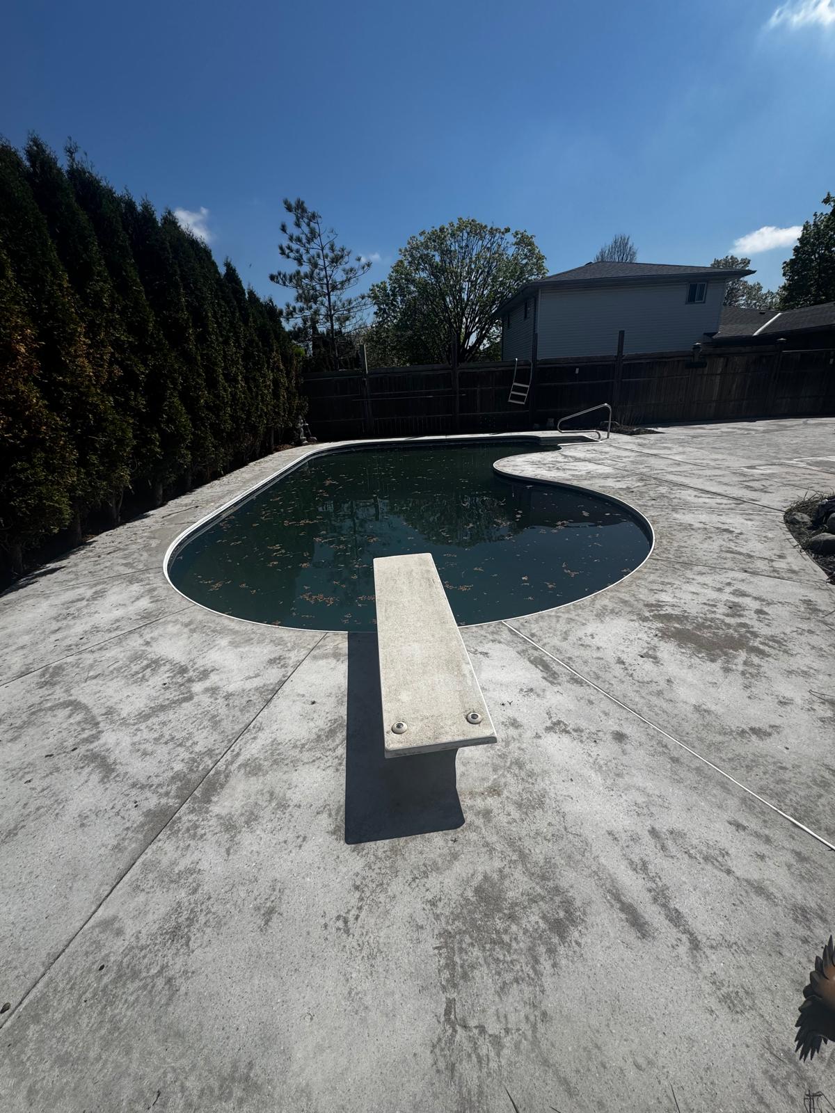 Basement Entrance Before