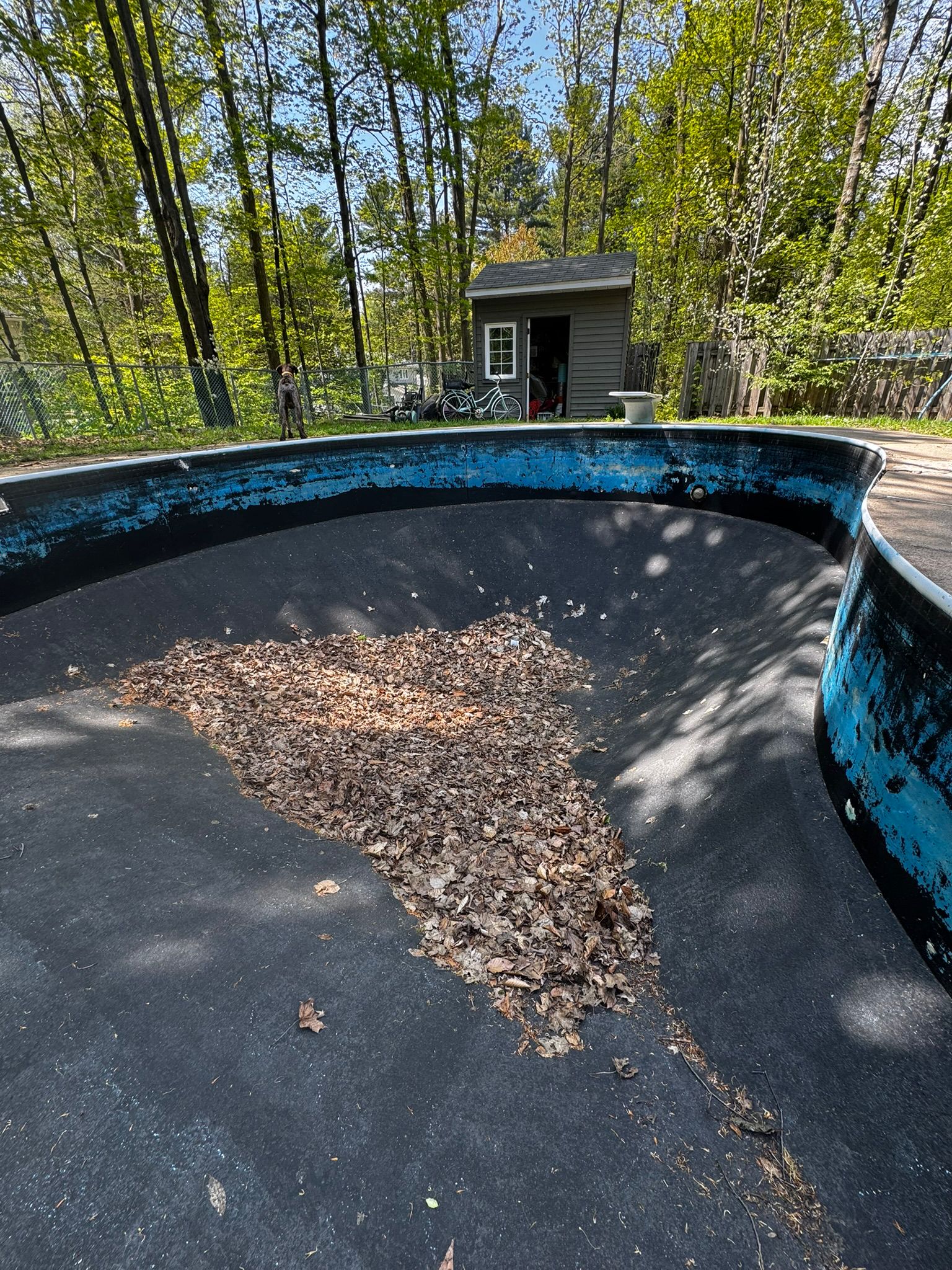 After resurfacing