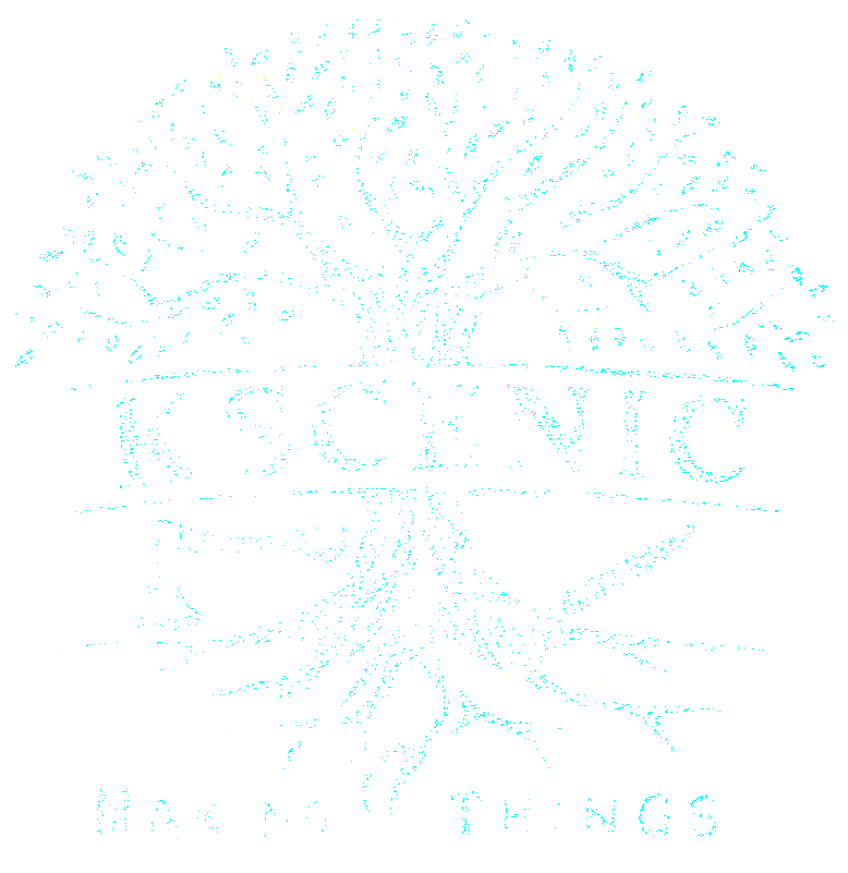 Ksenic Logo