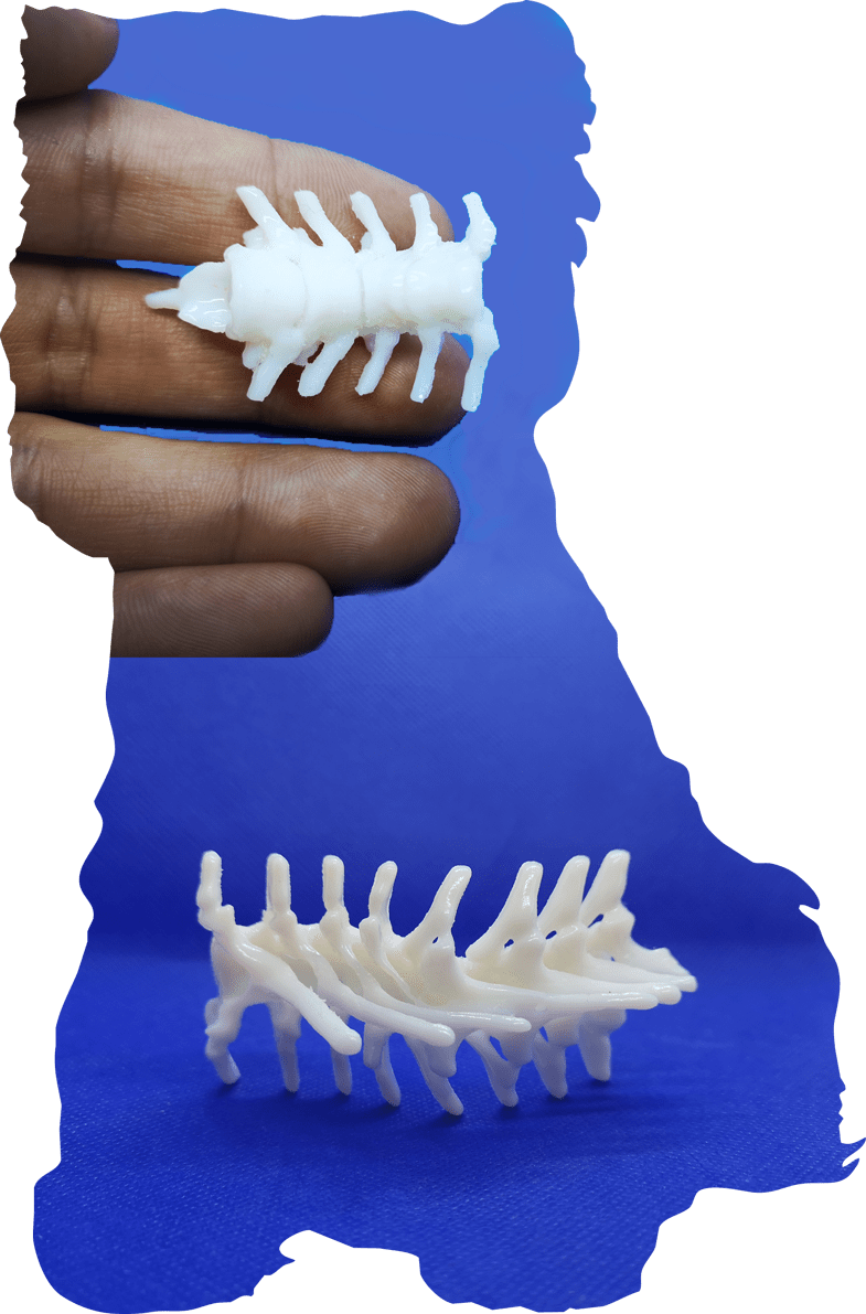 Hand holding a 3D-printed spine model