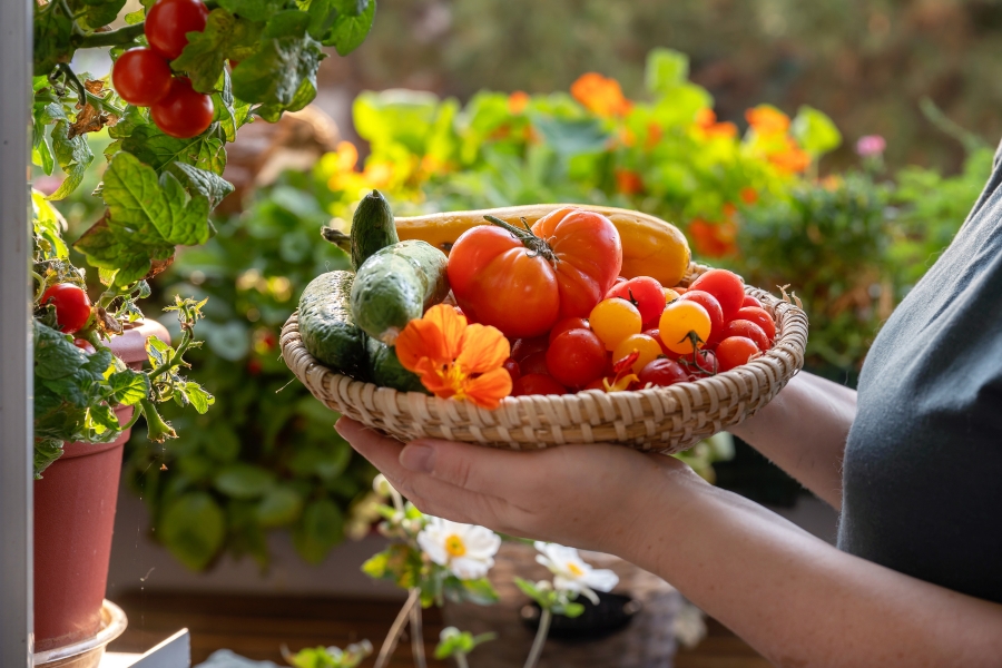 Grow Fresh Vegan Food on Your Balcony: 7 Easy Container Garden Ideas