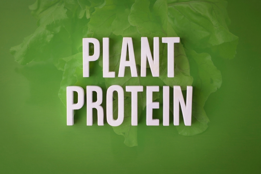 Top 15 Plant-Based Protein Sources for a Vegan Diet