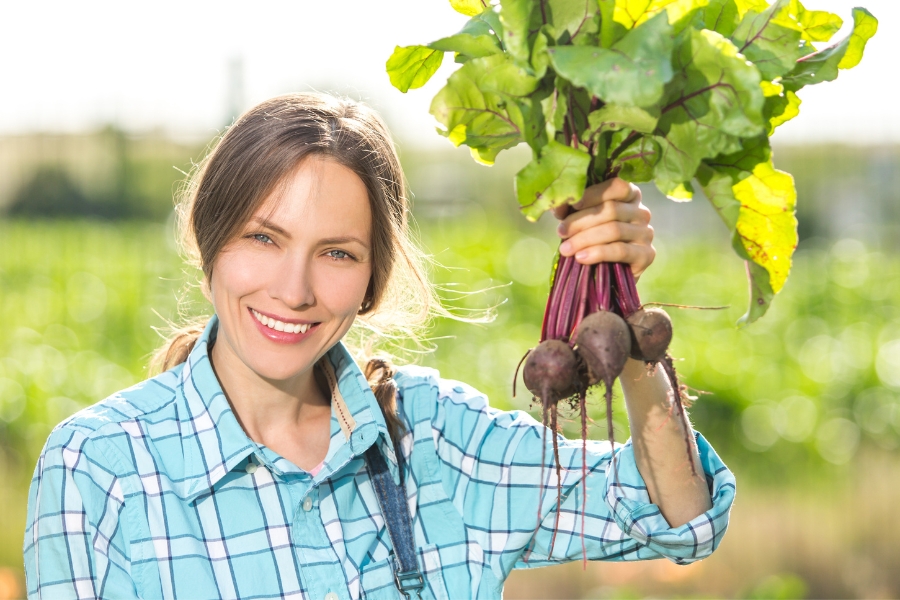 12 Easy Steps to Start Your Own Vegetable Garden: The Ultimate Guide