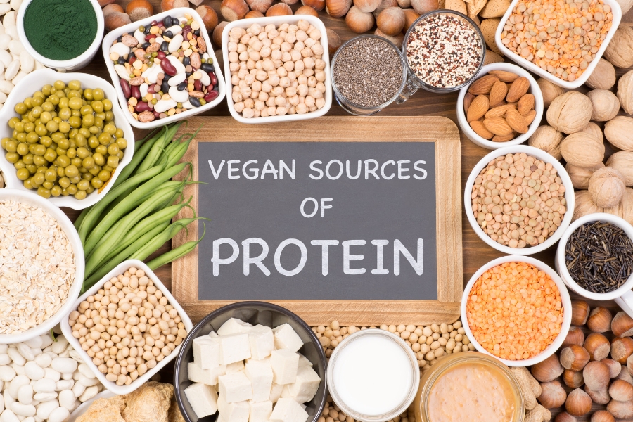 Top 15 Plant-Based Protein Sources for a Vegan Diet