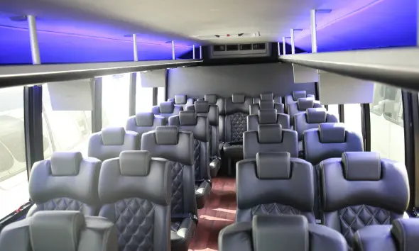 limo night out