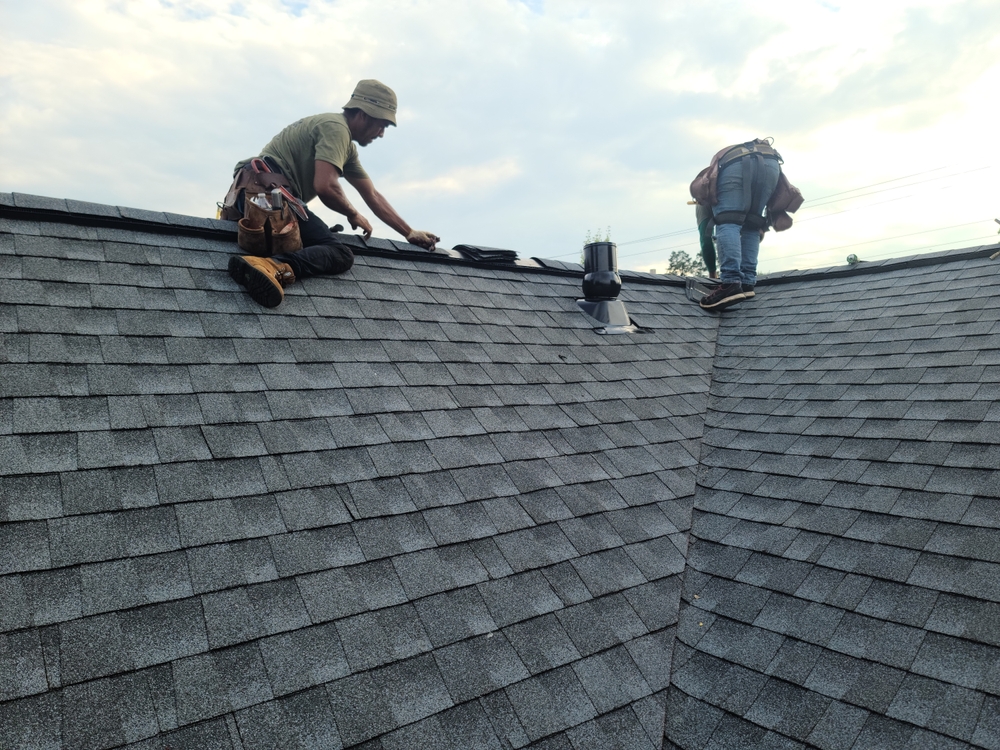 roof replacement