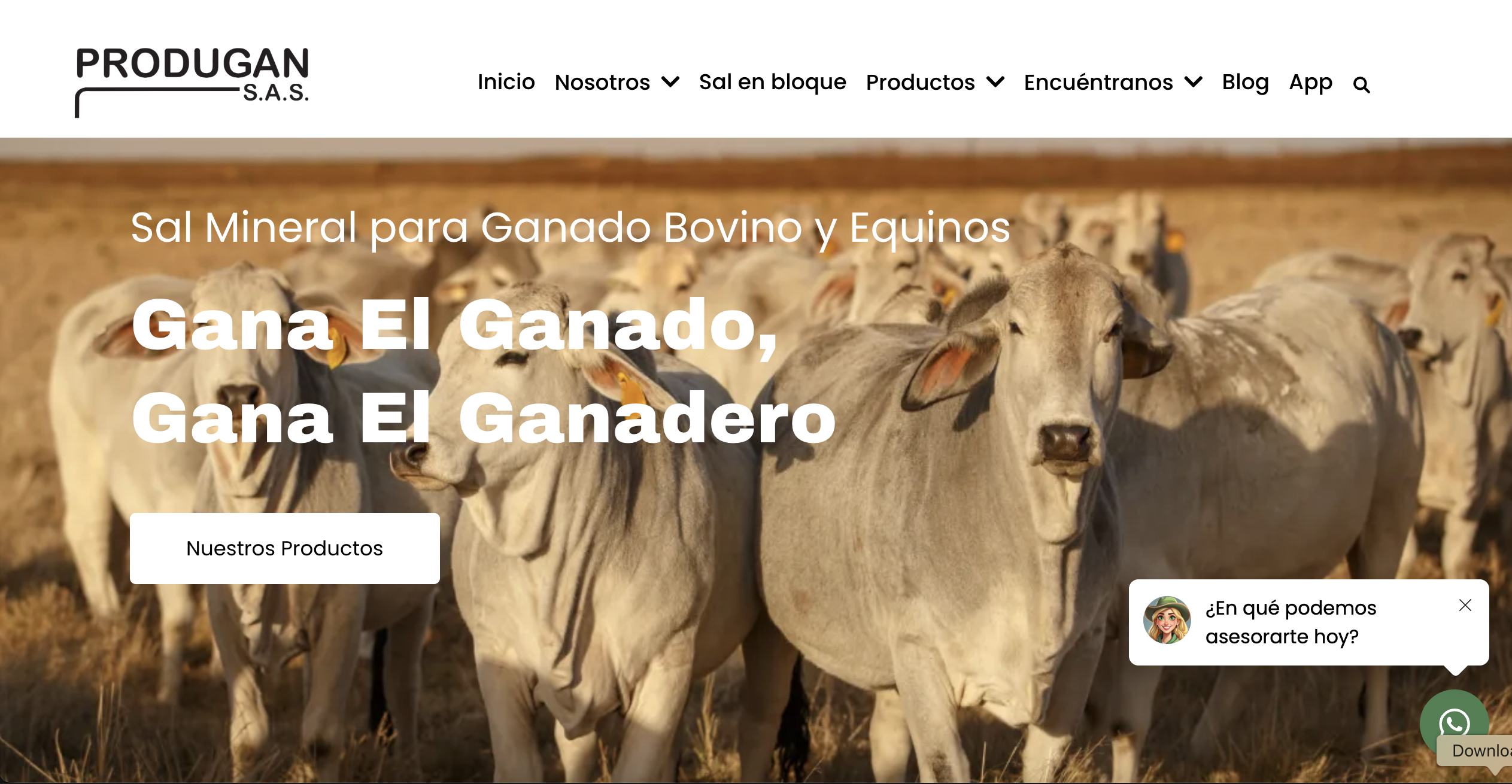 Sitio web de Produgan SAS, diseñado y desarrollado por ZenZales