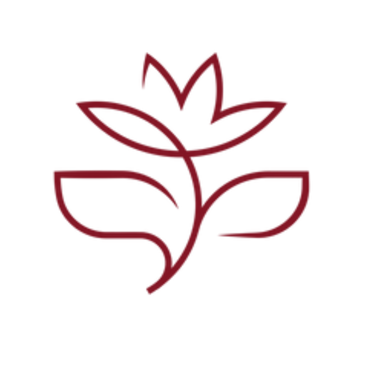 Katt Christine business logo