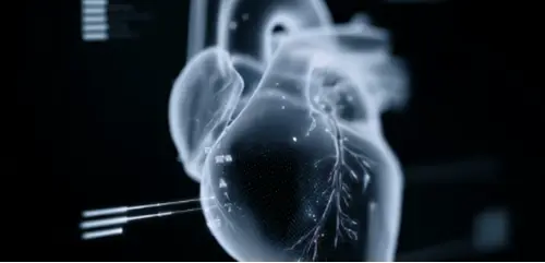 Send auto fatigue warnings: