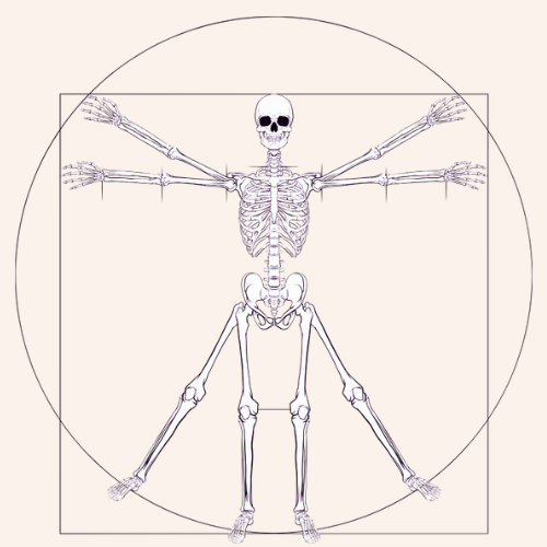 Ancient Elevation - Logo