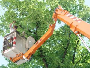 Grapple truck service in Hillsborough