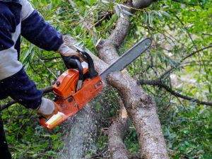 Grapple truck service in Pasco