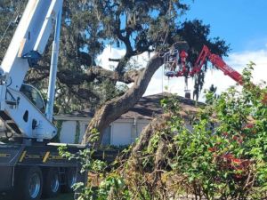 Storm clean up in Pasco