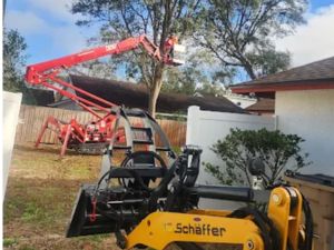 Tree trimming in Hillsborough