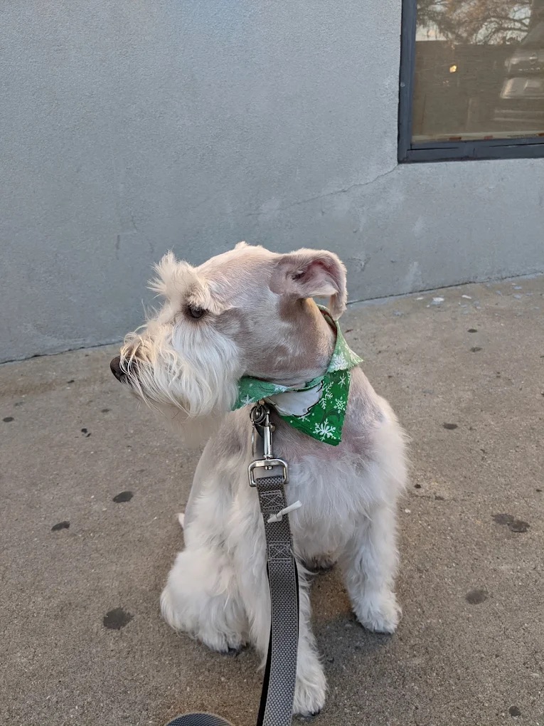 North Bergen Ear Cleaning