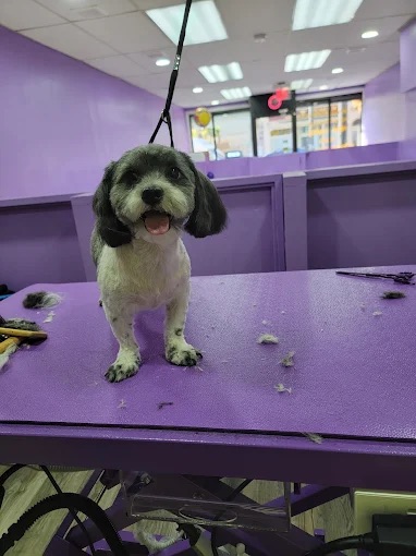 Nail Trimming West New York