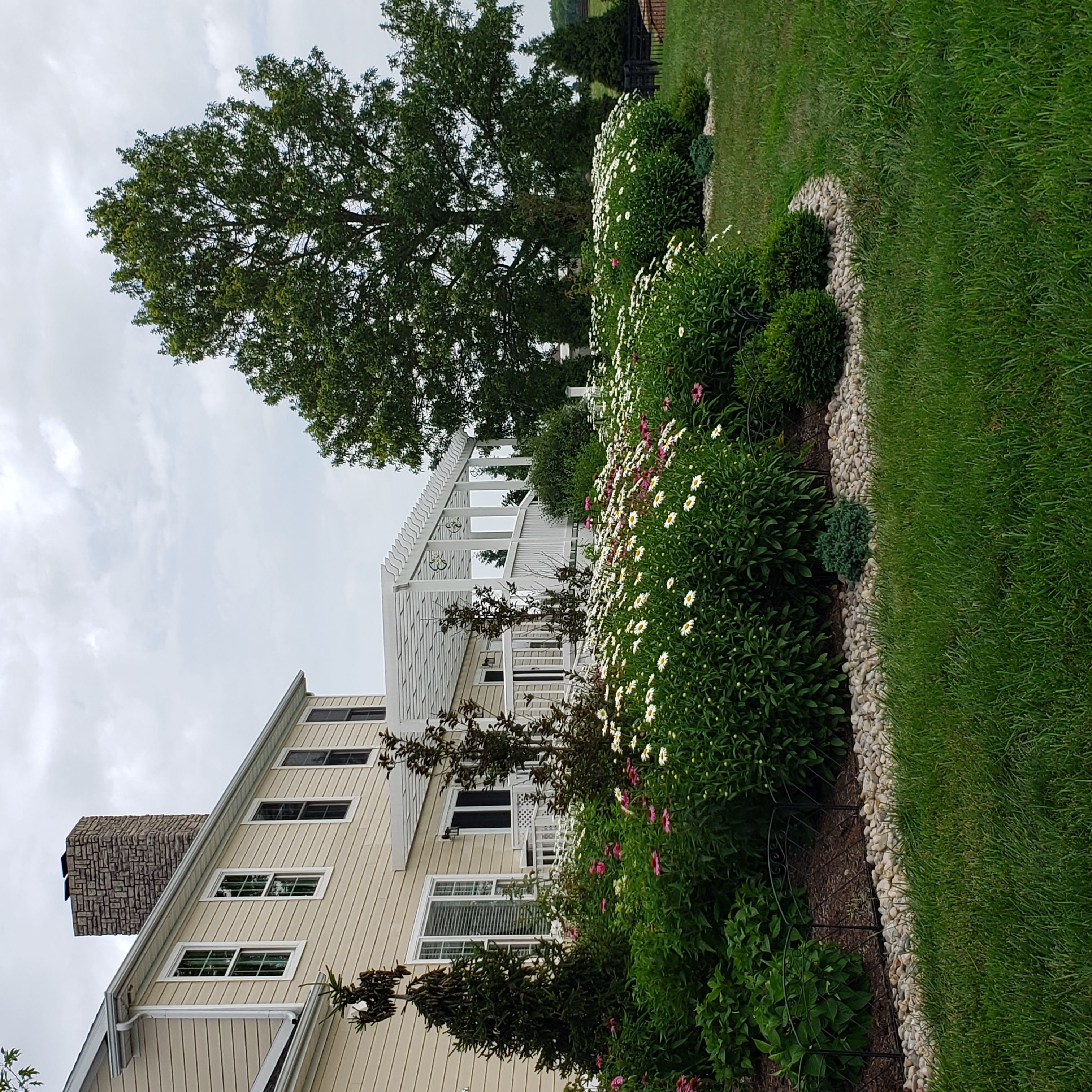 flowerbed