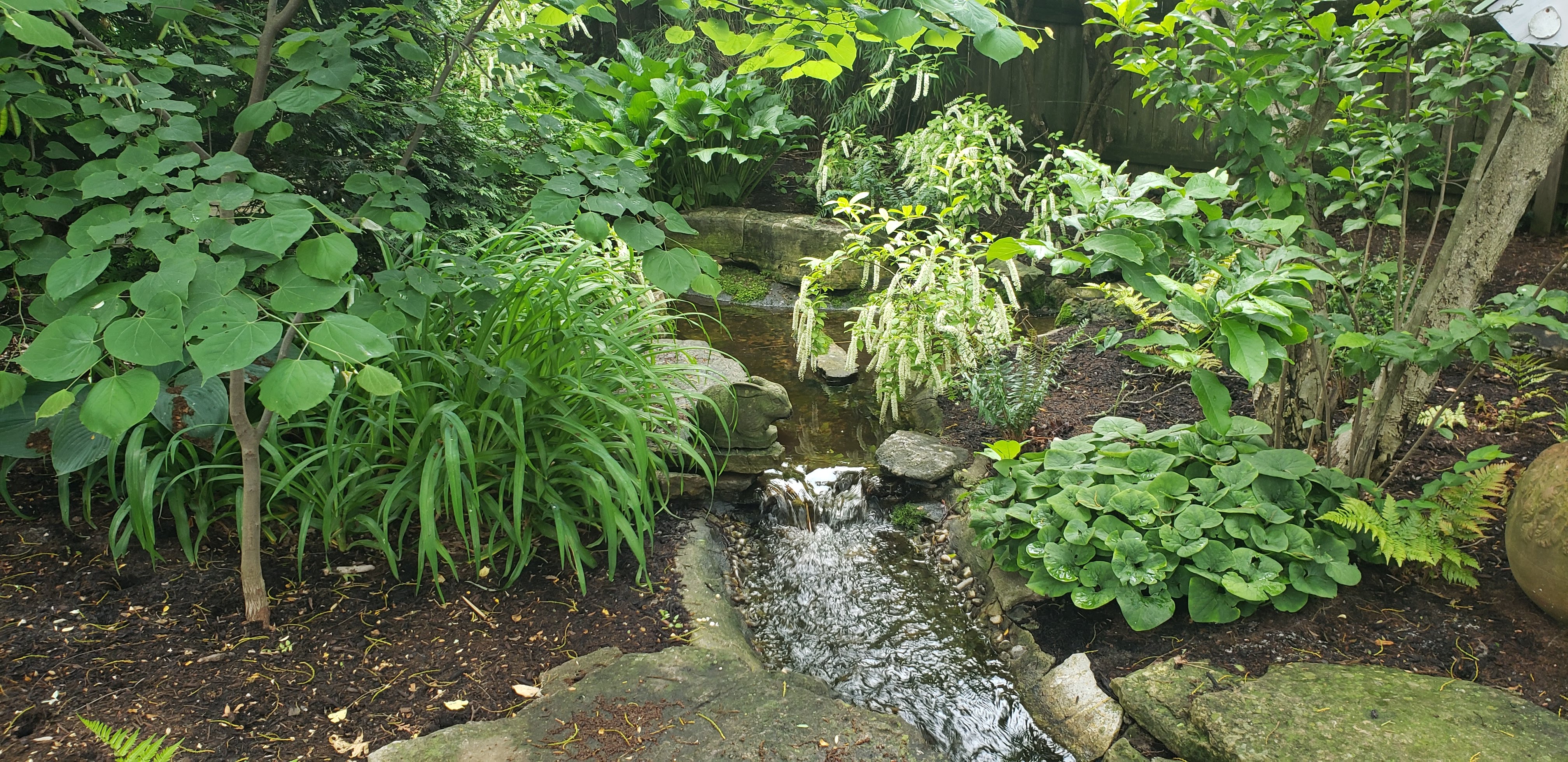 Serene urban backyard oasis transformation
