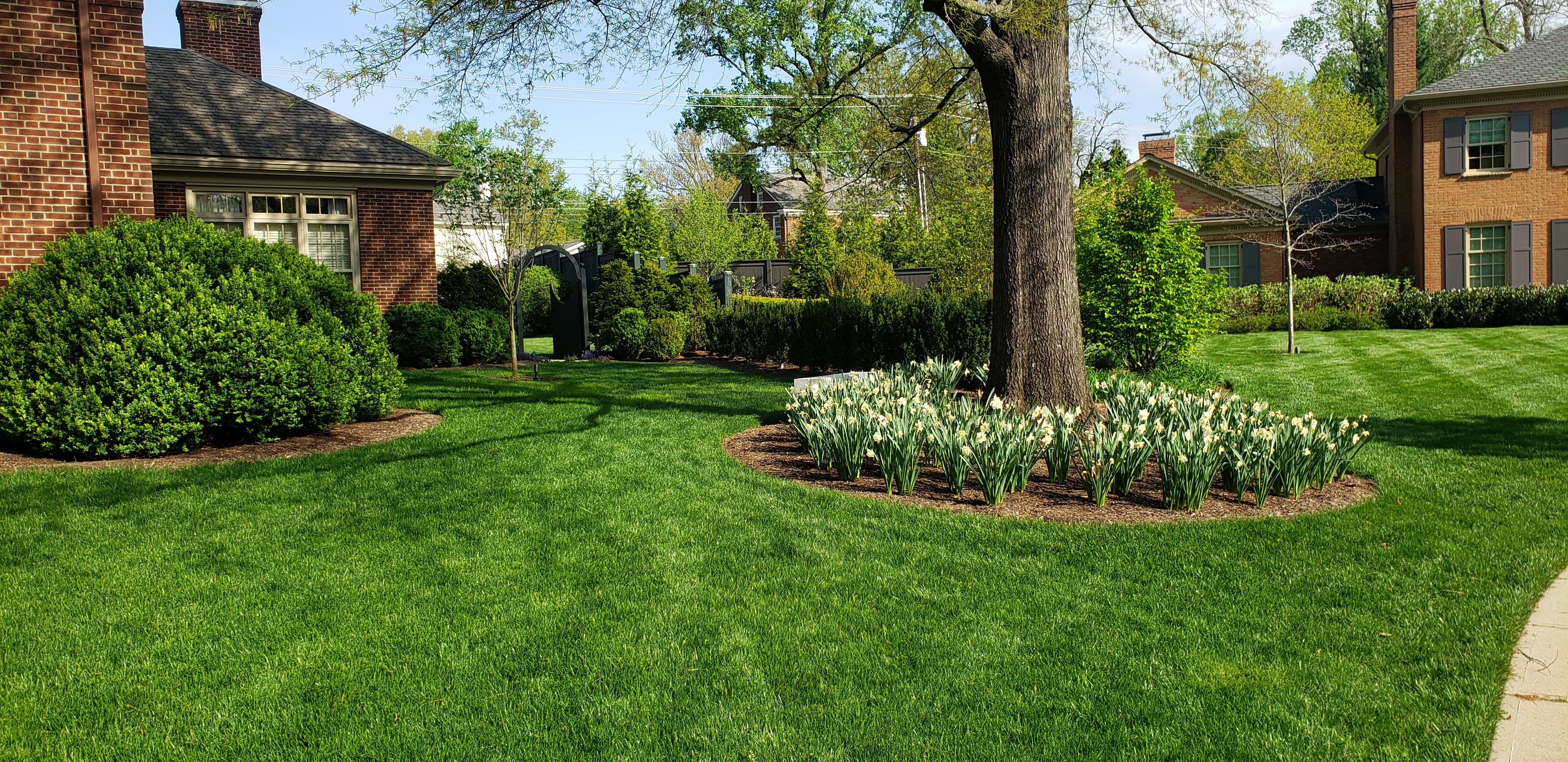 planting bed