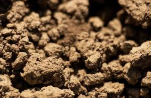 soil
