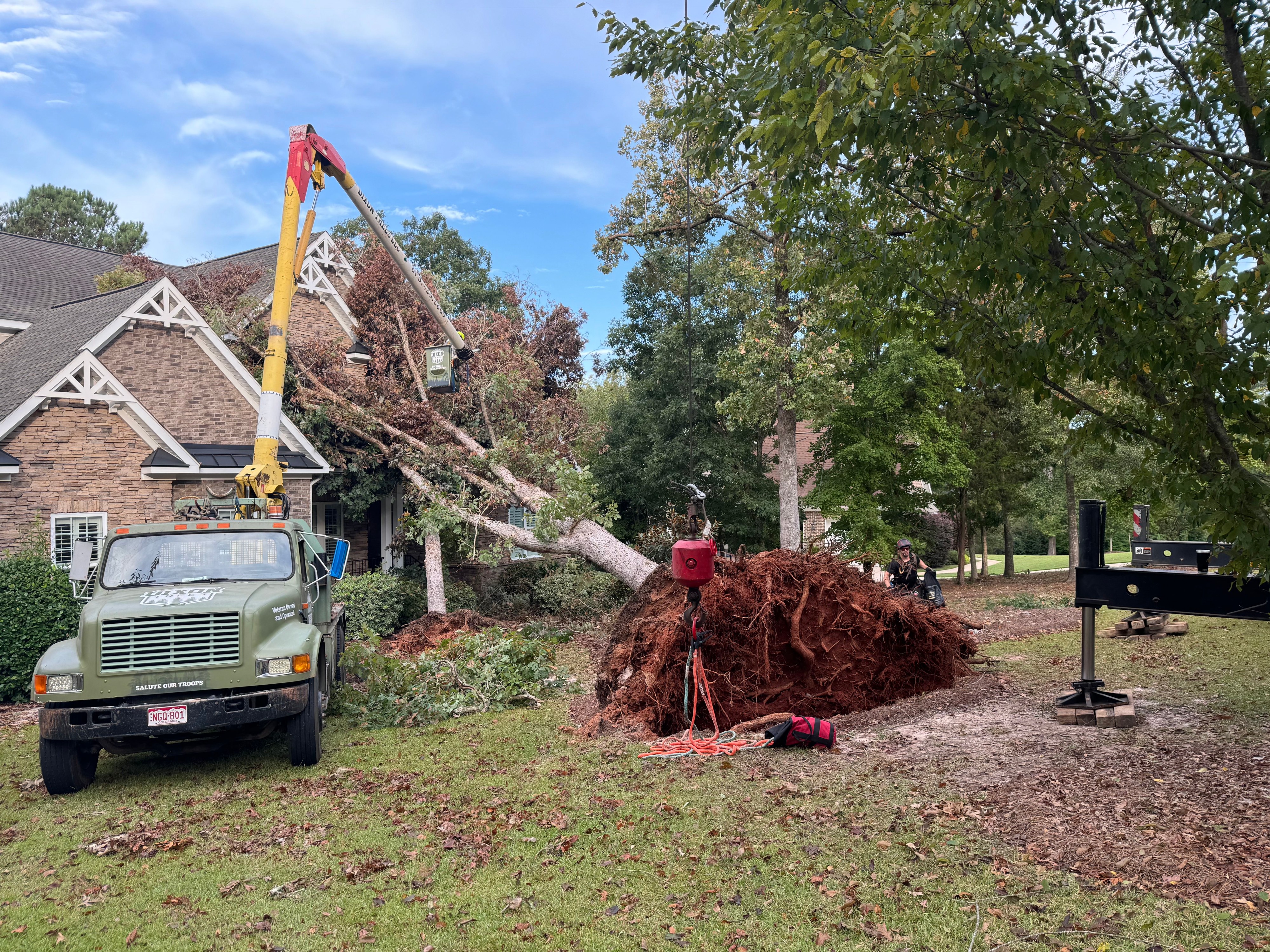 24/7 Emergency Tree Service