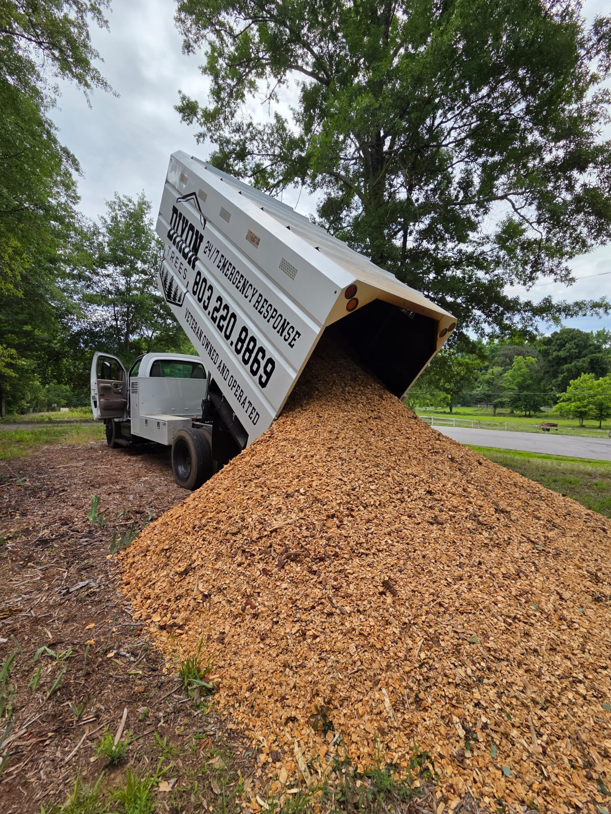 Commercial Tree Service