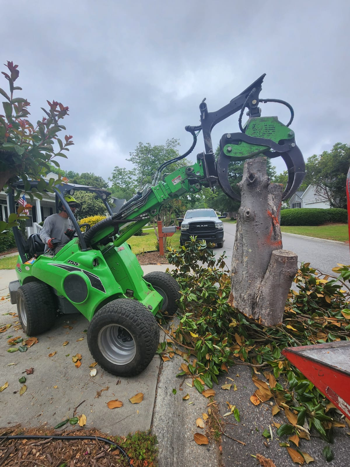 Residential Tree Service