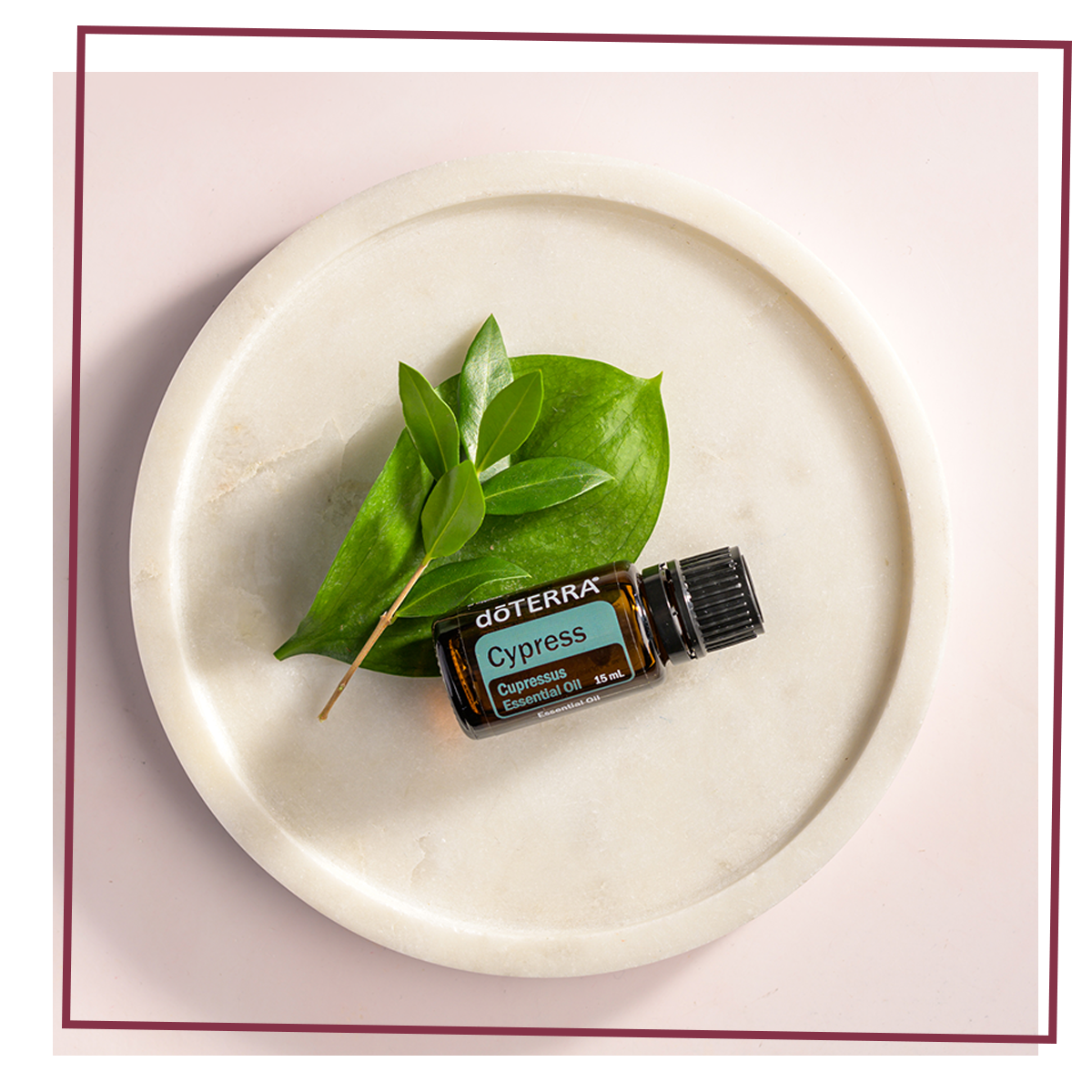 doTERRA Single Oils