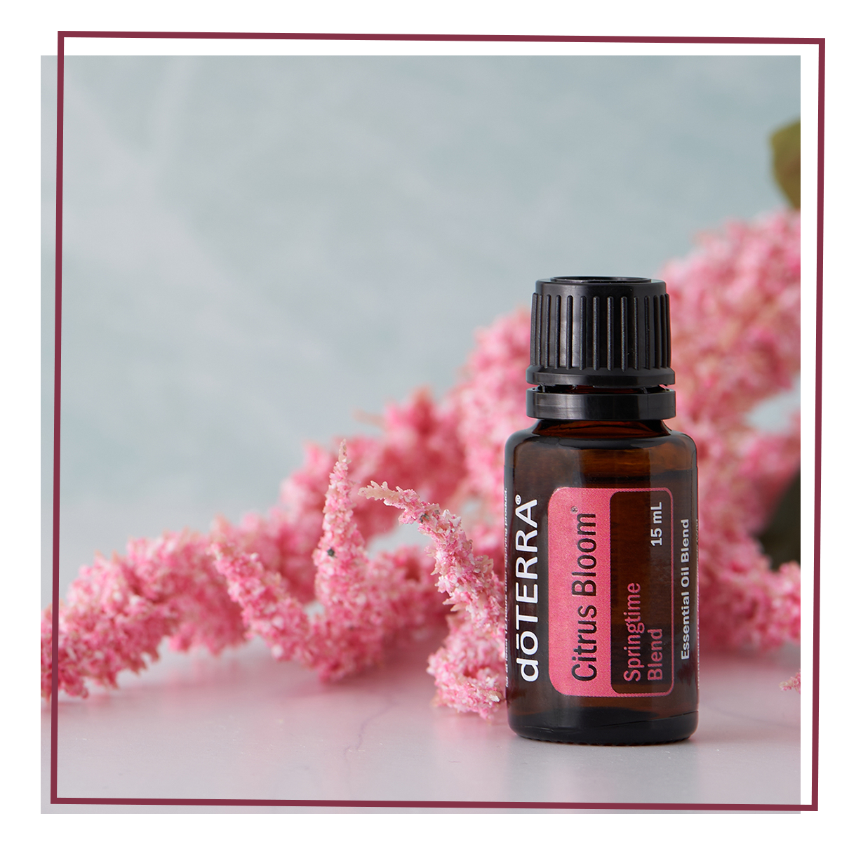 doTERRA Oil Blends