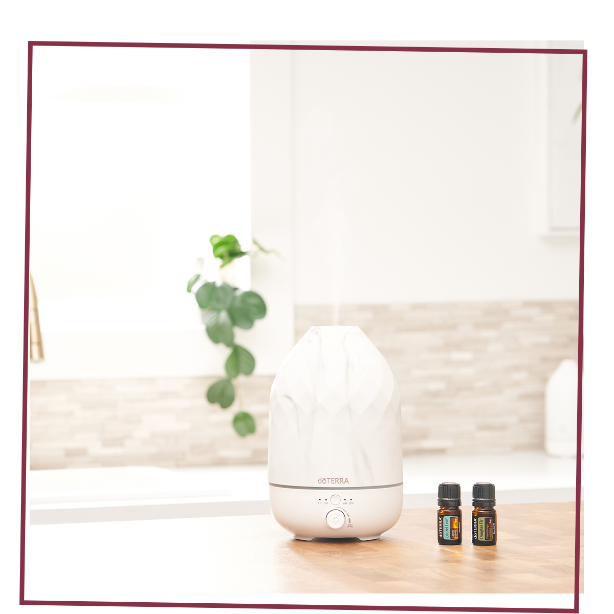 doTERRA Diffusers