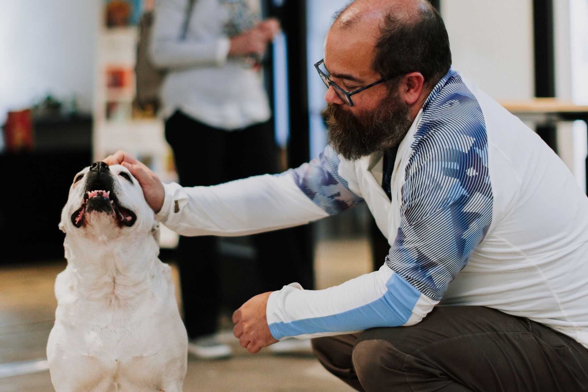 Dog training photo