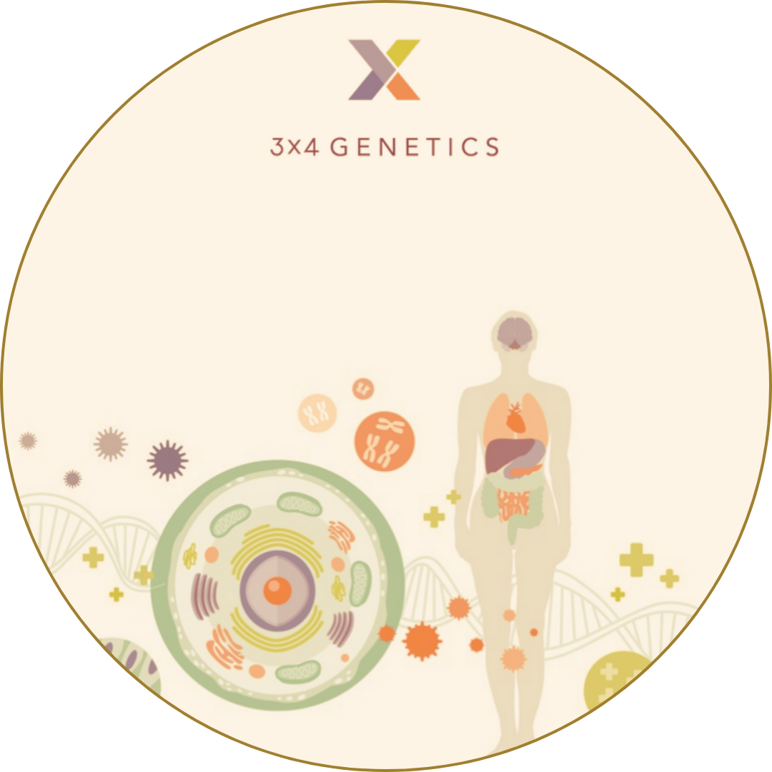 3X4 Genetics logo with illustrated DNA strands, cells, and human anatomy symbols on a light background.