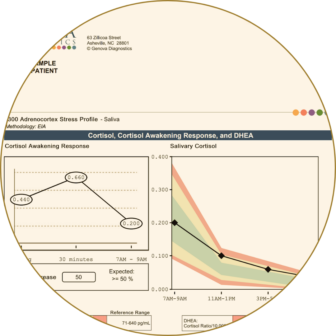 Sample adrenal stress report showing cortisol levels and salivary test results in chart format.