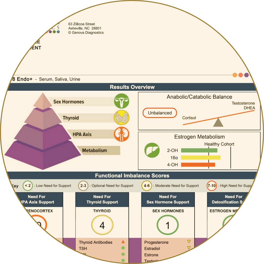 Hormone panel showing results for sex hormones, thyroid, and metabolism with imbalance scores.