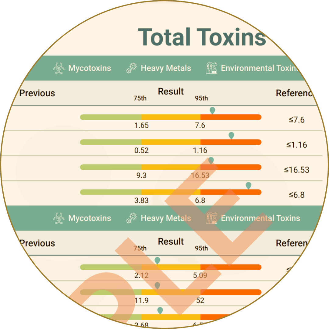 Total toxins report displaying levels of mycotoxins, heavy metals, and environmental toxins against reference ranges.