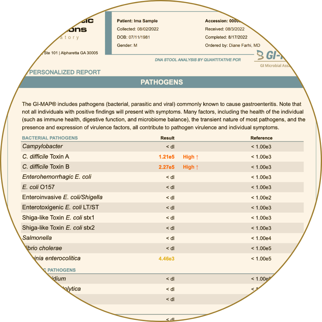 GI-MAP stool test showing bacterial pathogen levels and gut health indicators.