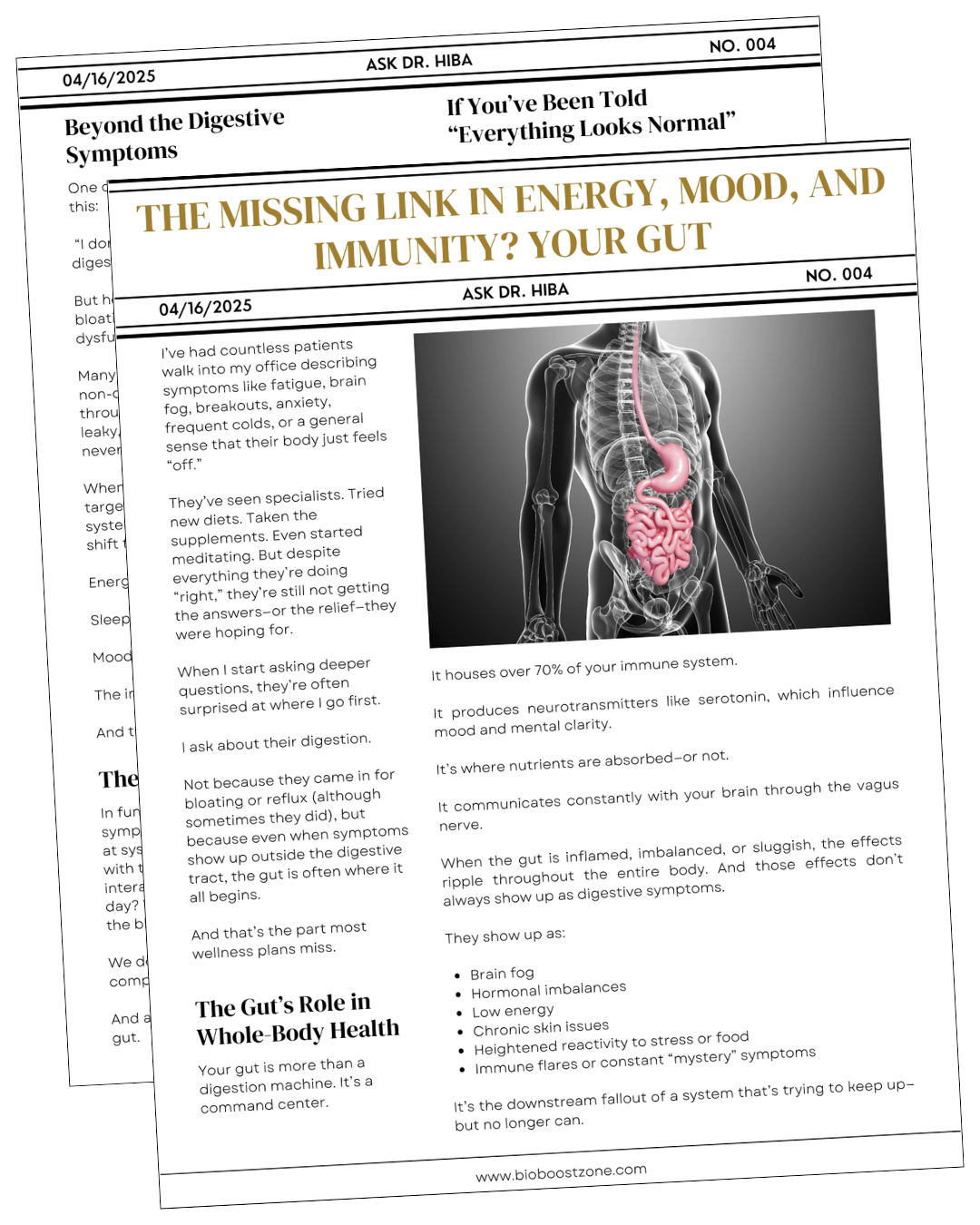 Newsletter titled “The Missing Link in Energy, Mood, and Immunity?” with a medical illustration of the gut.