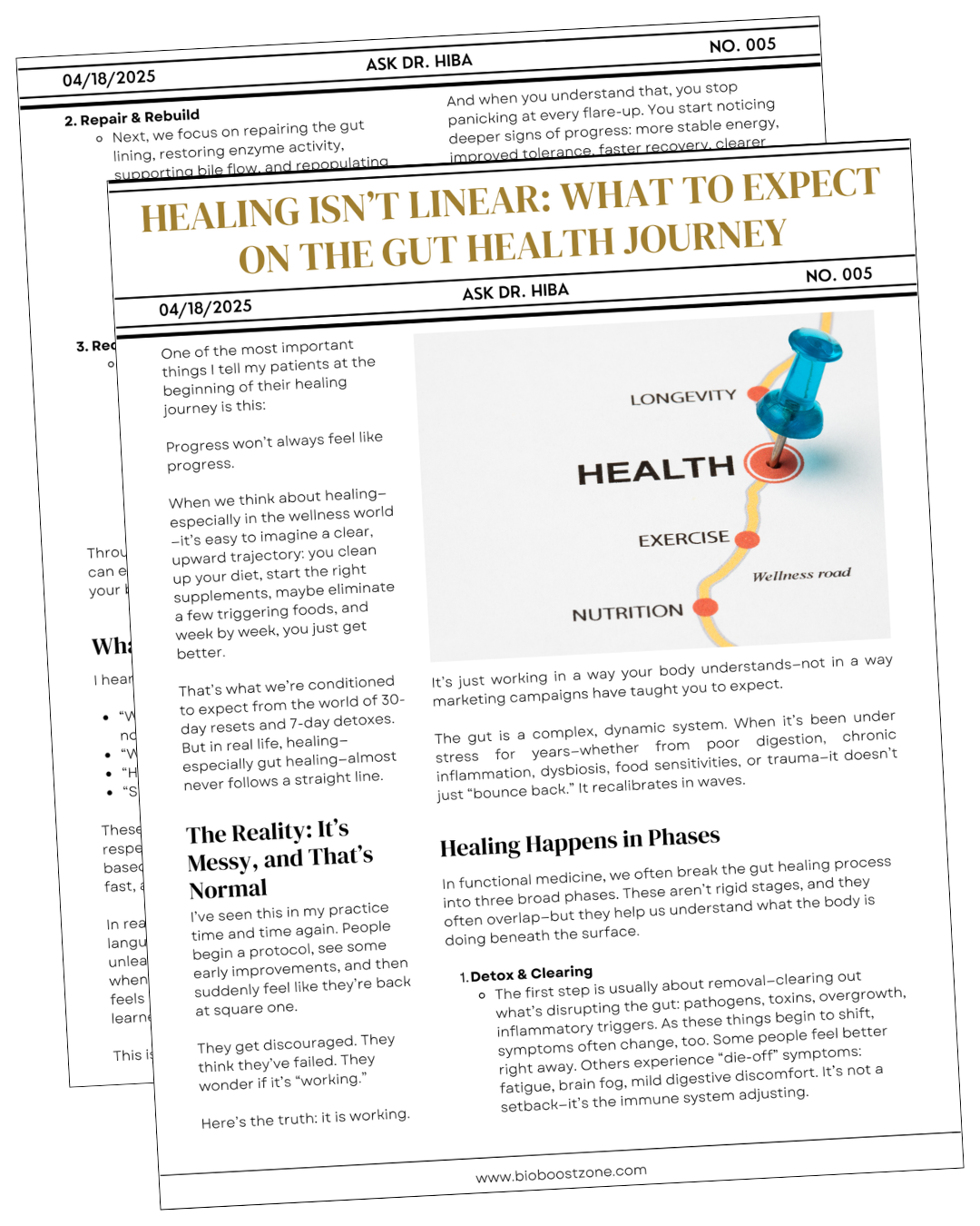 Newsletter titled “Healing Isn’t Linear” showing a health roadmap graphic with pins for rest, diet, exercise, and longevity.