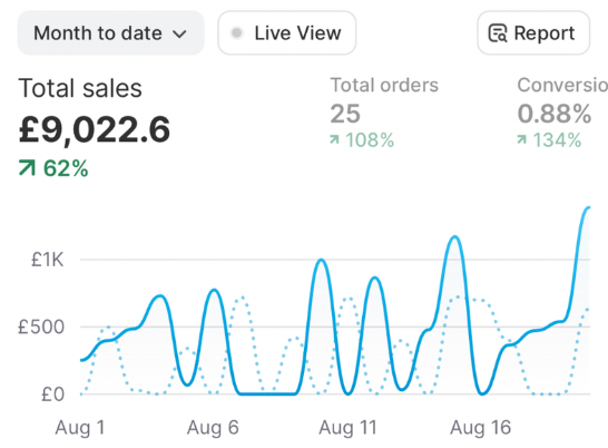 Shopify dashboard showing &pound;9,022 in sales across 25 orders