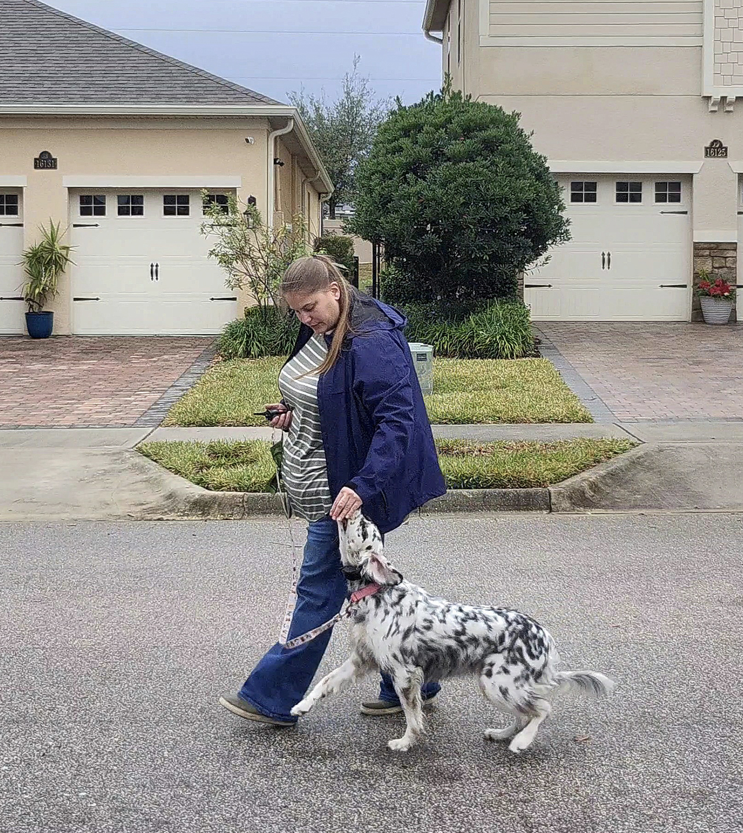 puppy-boarding