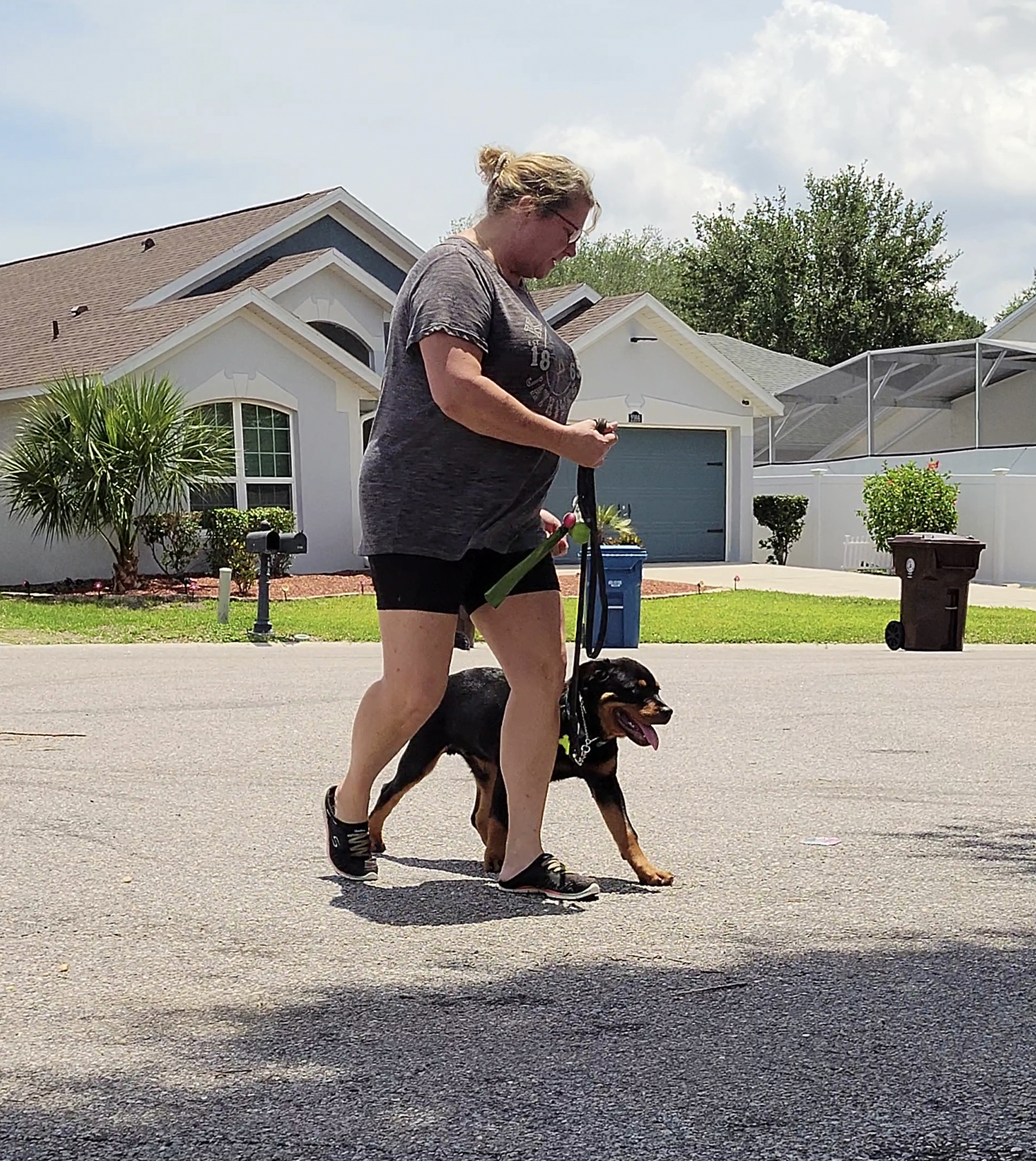 puppy-boarding