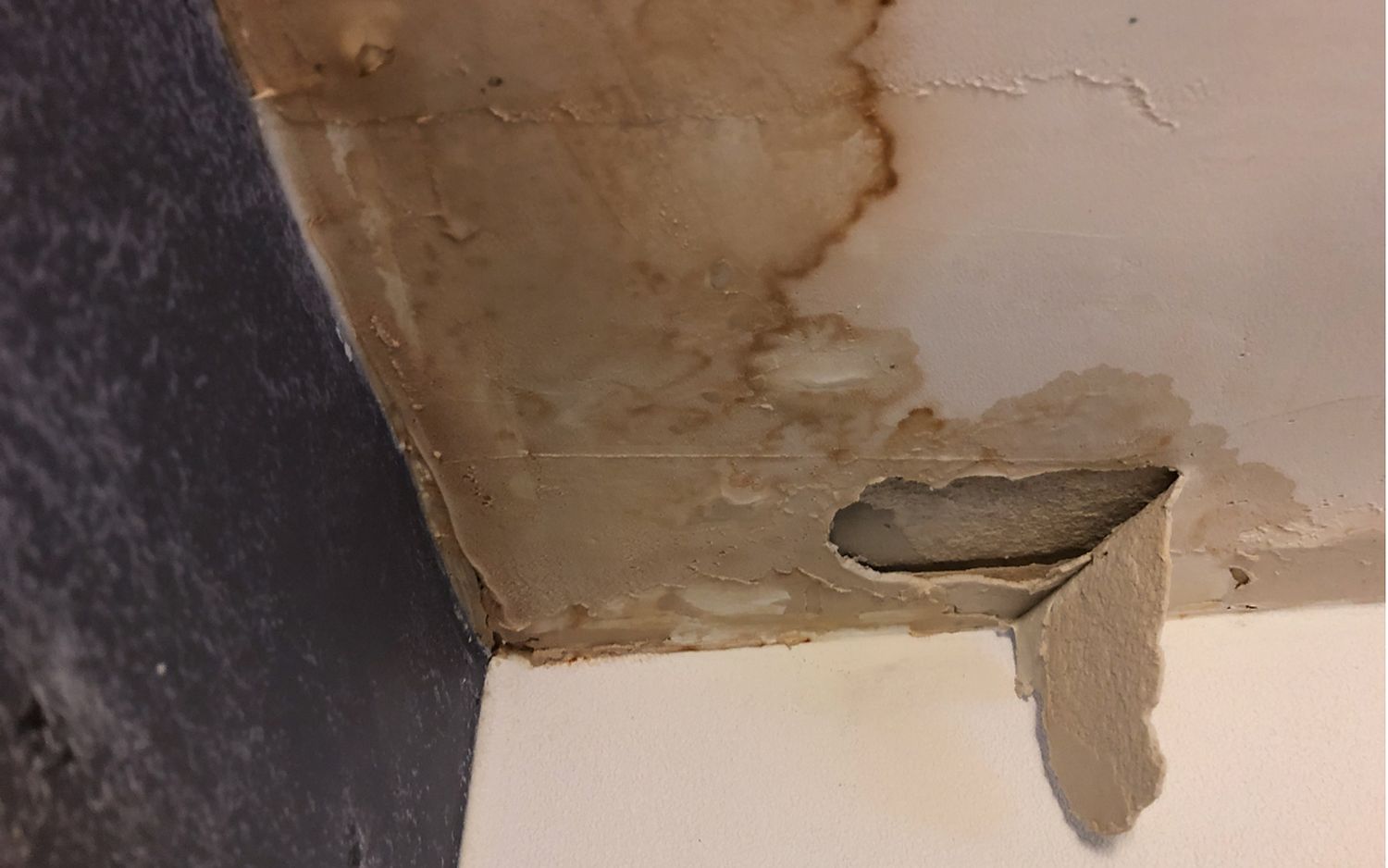 Water damage spreading across a ceiling below a leaking roof