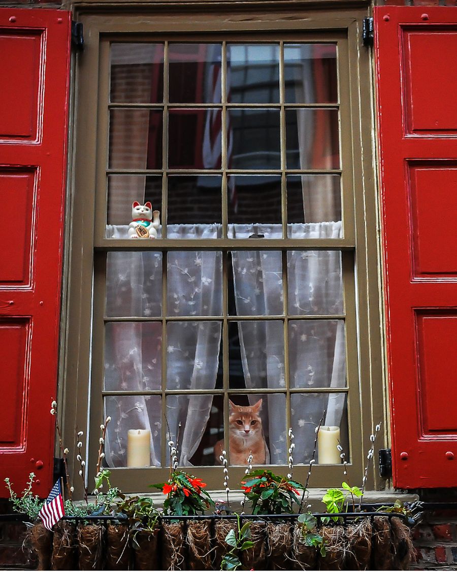 A window surround wrapped in capping, with shutters either side
