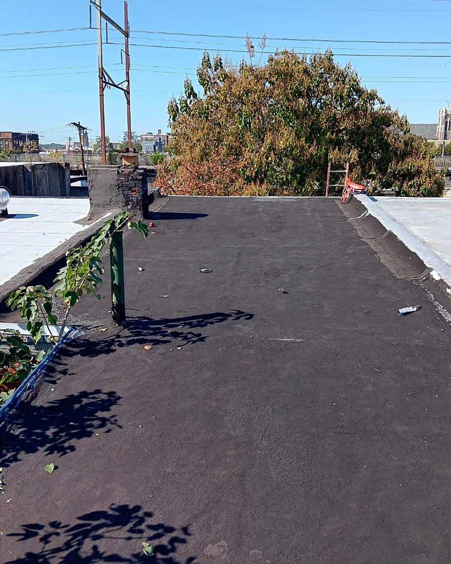 Failing flat roof surface, vegetation growing at the parapet, before replacement