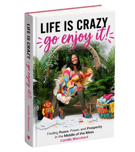 Life Is Crazy Book Cover