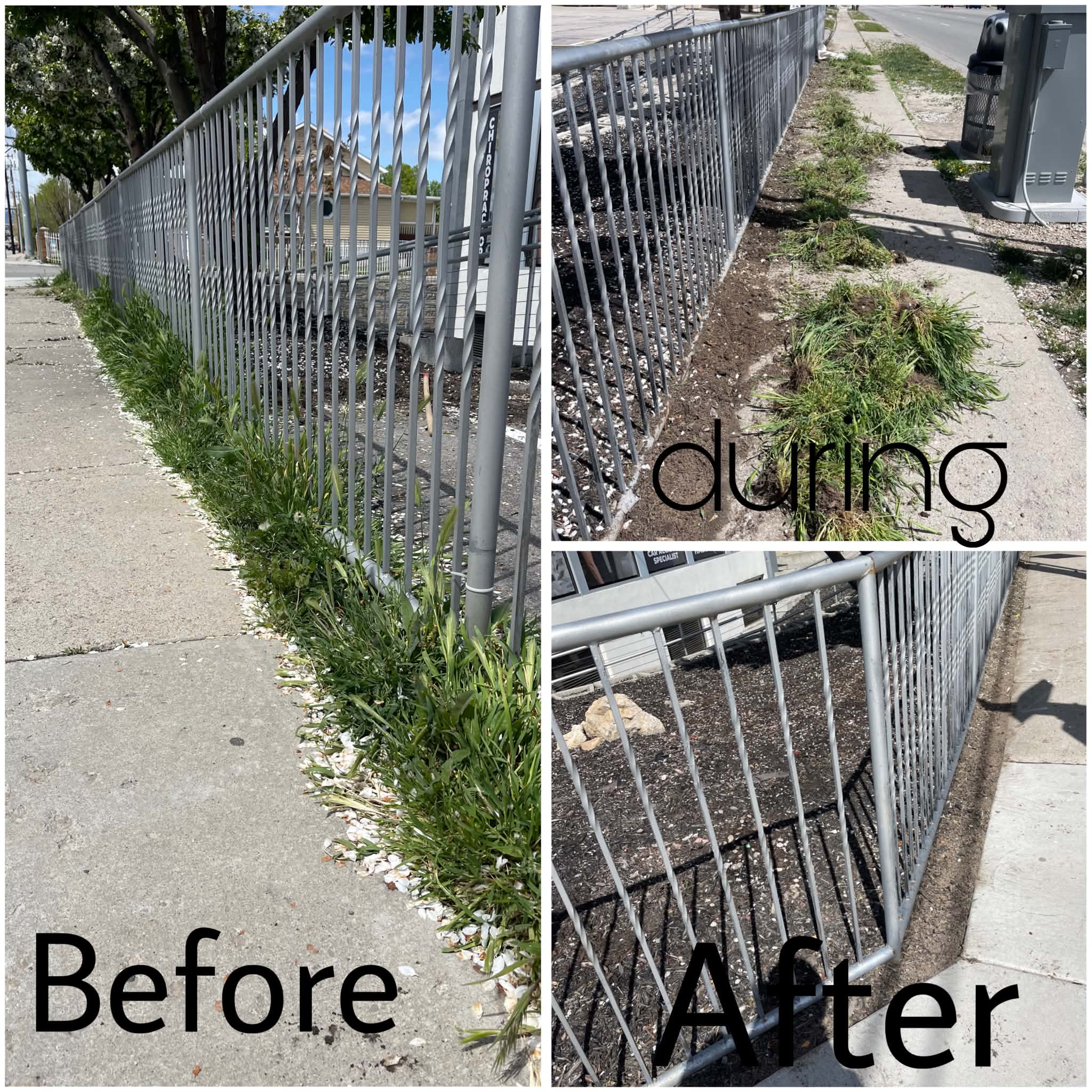 Fence line clearing — before