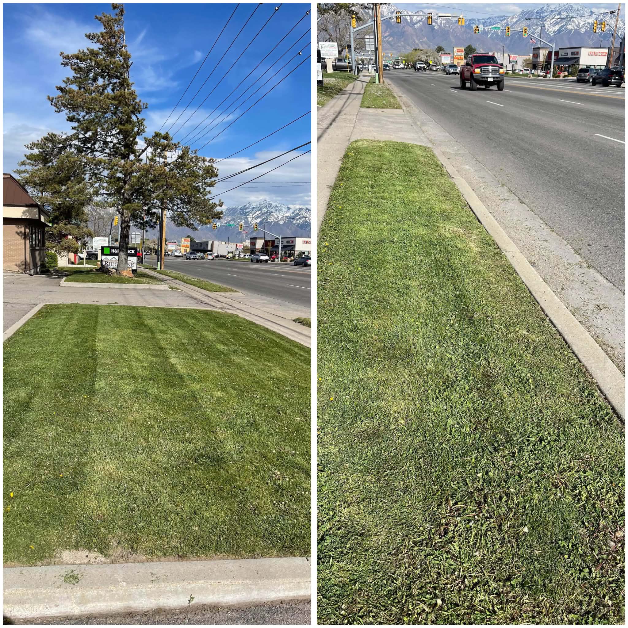 Grassy lot and curb edge after maintenance