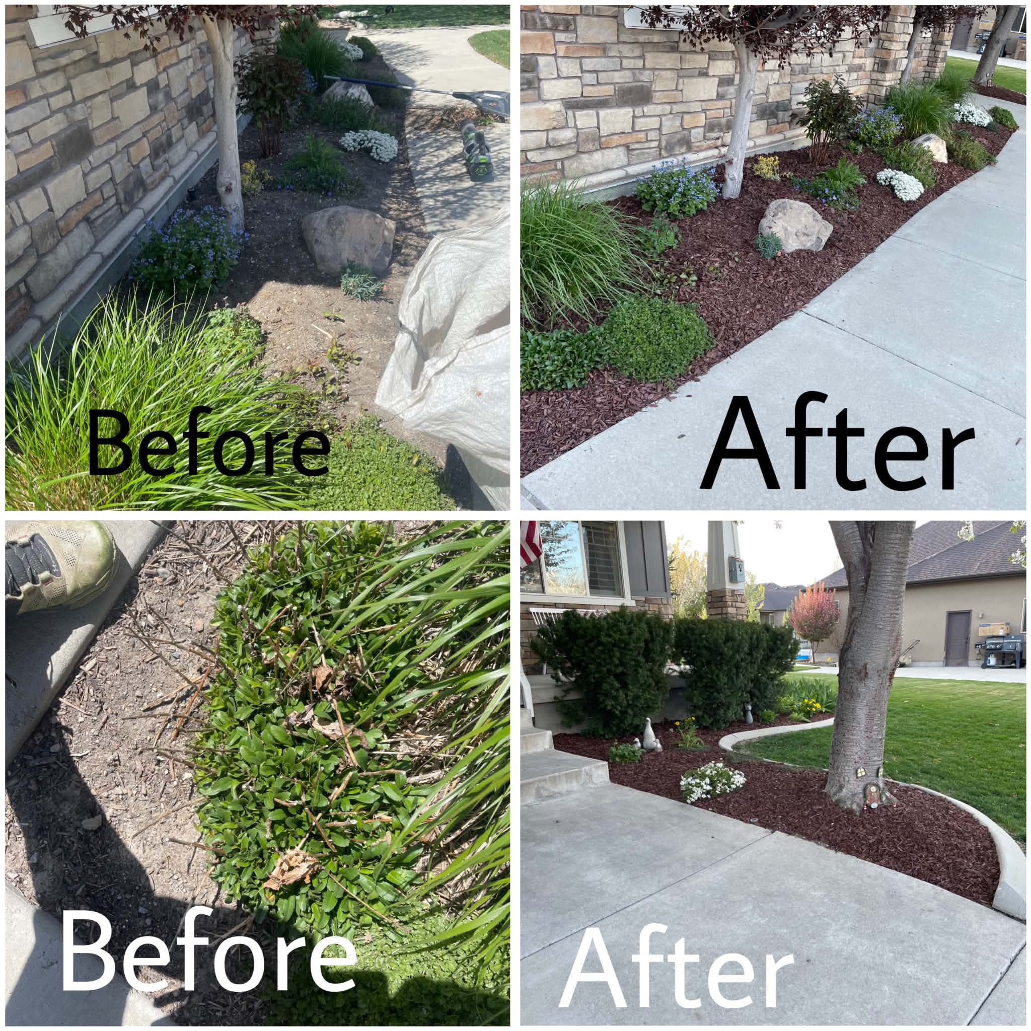 Yard clean-up & tidy-up — after