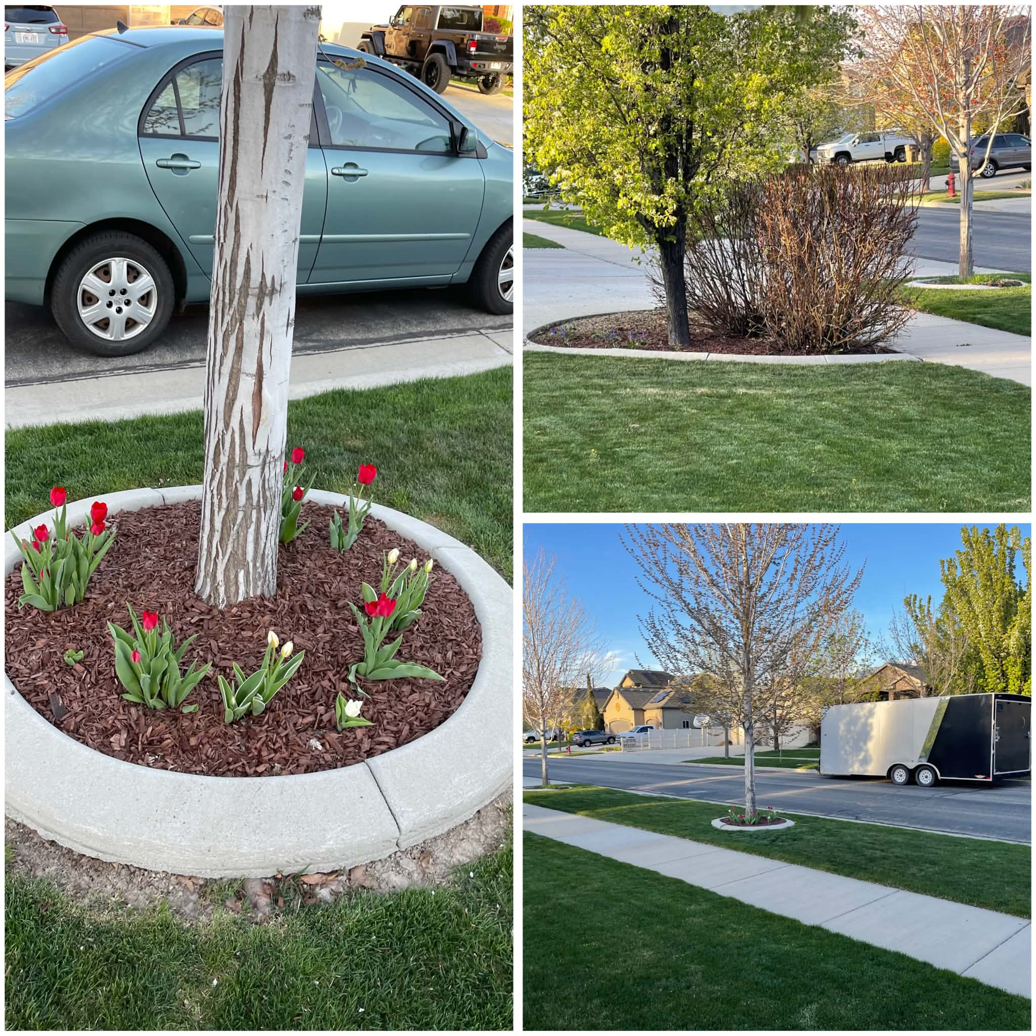 Collage of landscaping work: parking lot, mulched tree bed, and street view