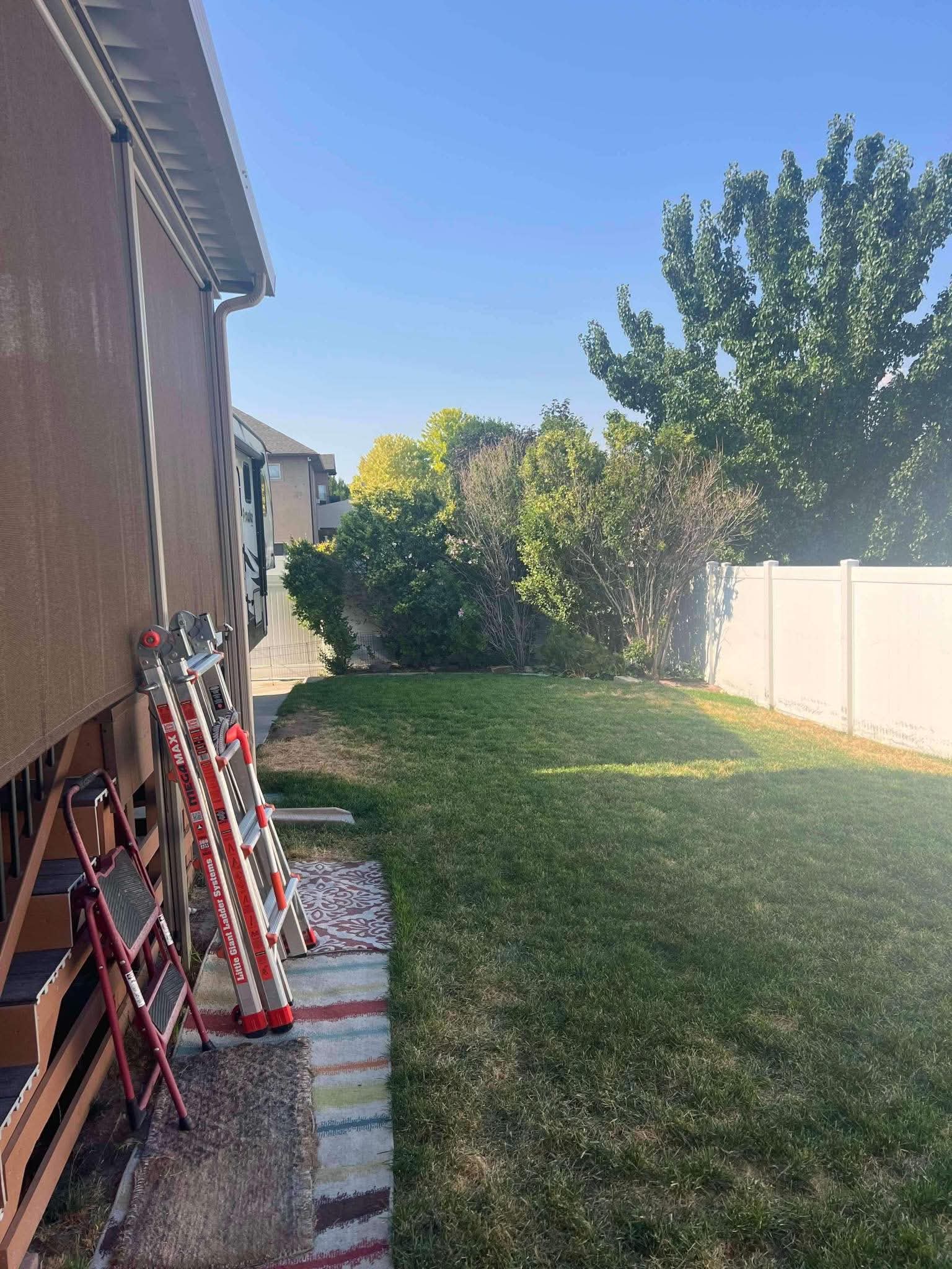 Ladder leaning against a house for tree trimming work